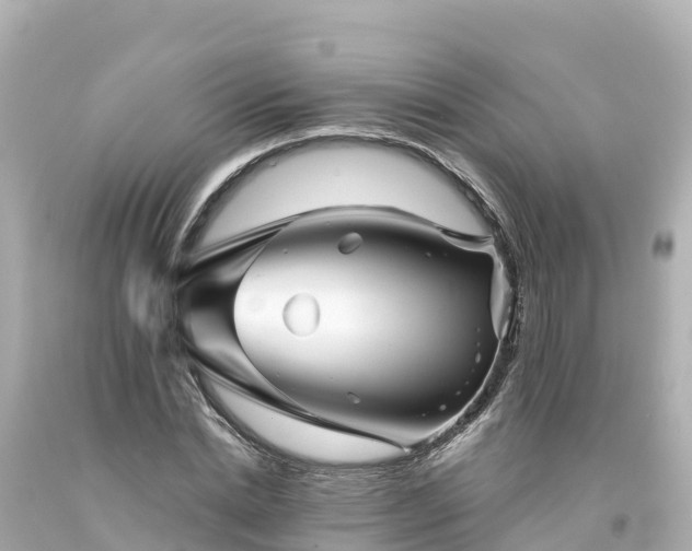X0000094200830200711021049