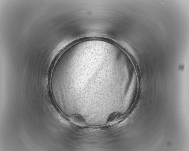X0000094200831200711021049