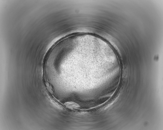 X0000094200837200711021050