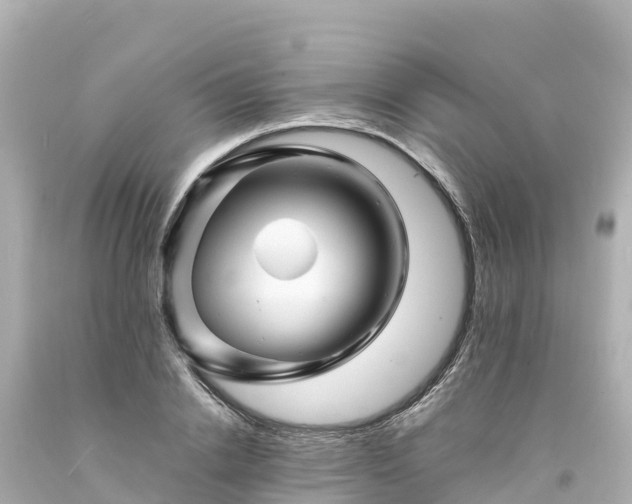 X0000094200838200711021050