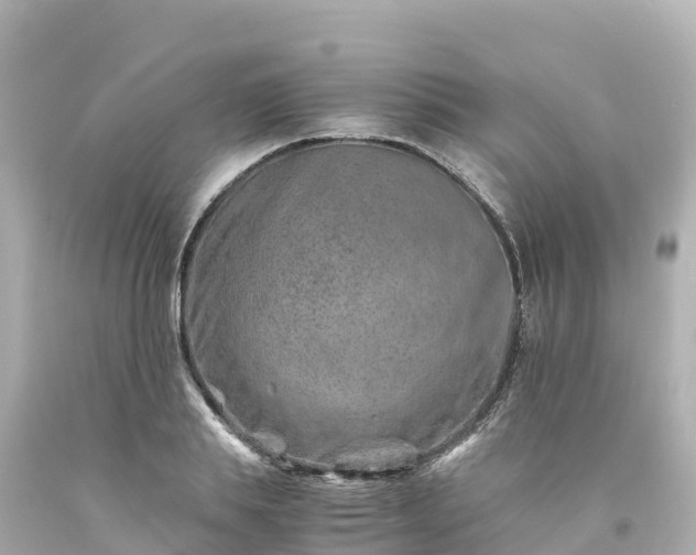 X0000094200839200711021050