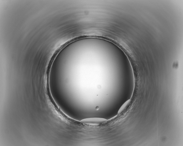 X0000094200840200711021050