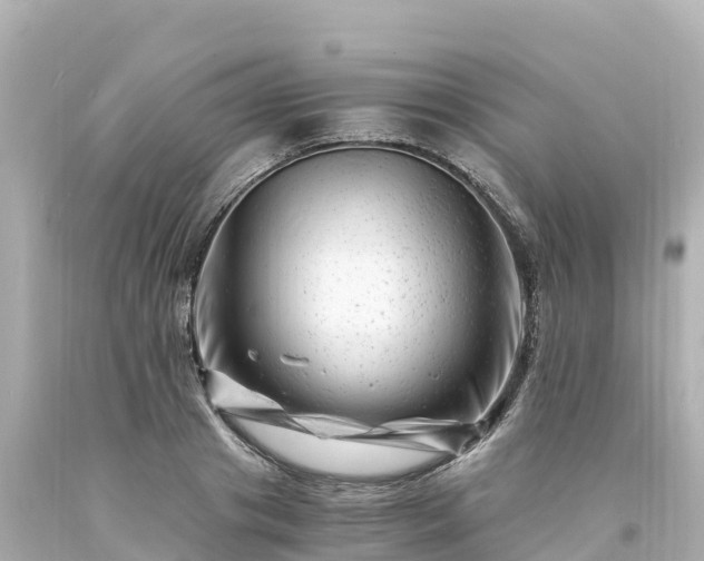 X0000094200841200711021050