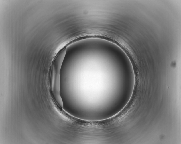 X0000094200842200711021050