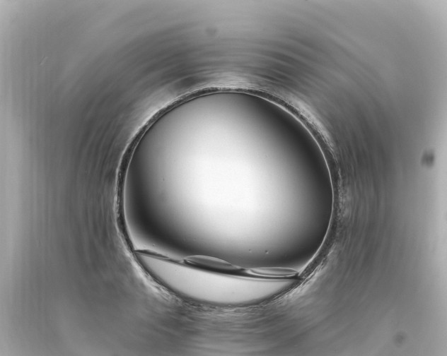 X0000094200845200711021050