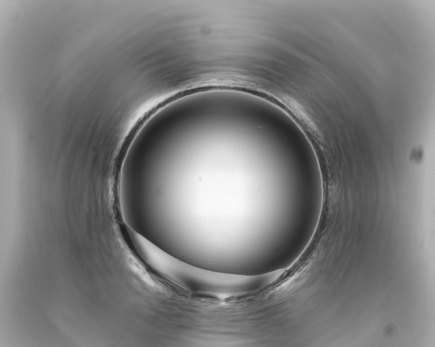X0000094200846200711021050