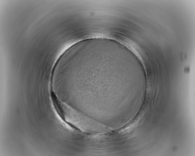 X0000094200847200711021050