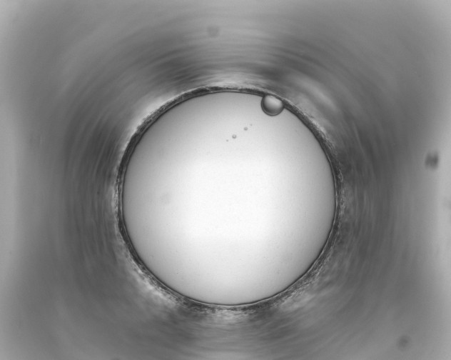 X0000094200848200711021050