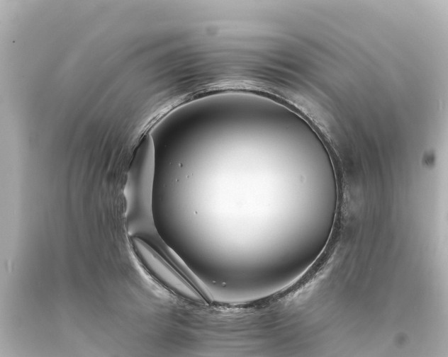 X0000094200849200711021050