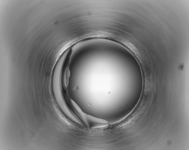 X0000094200850200711021050