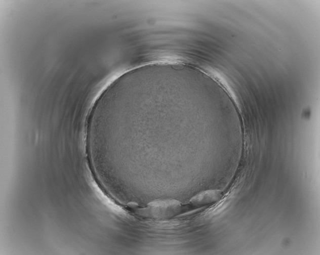 X0000094200851200711021050