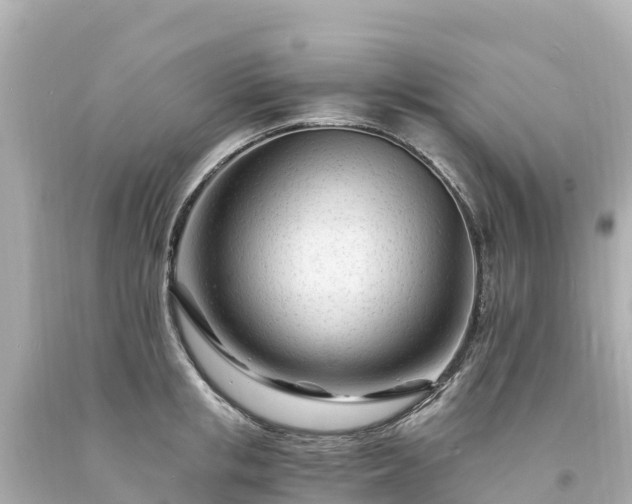 X0000094200853200711021050