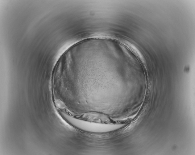 X0000094200855200711021050