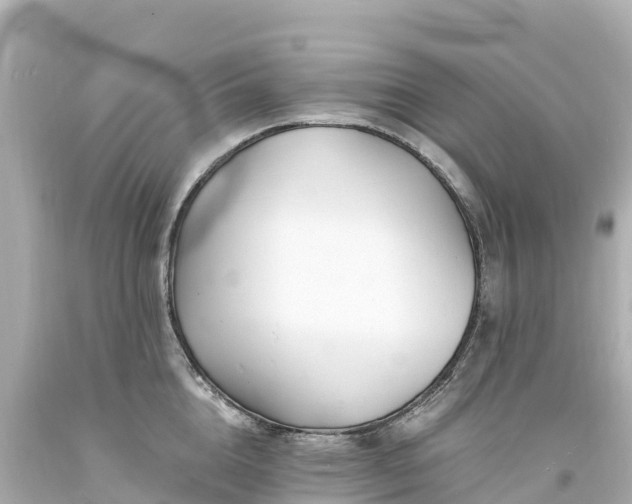 X0000094200856200711021050