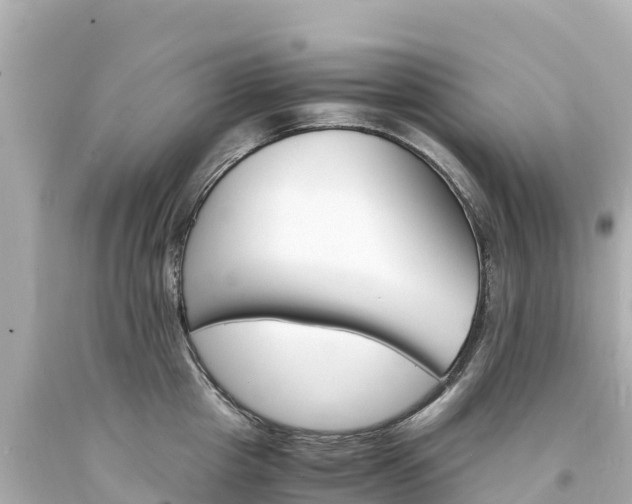 X0000094200857200711021050