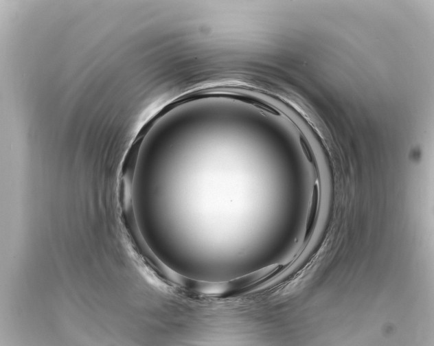 X0000094200858200711021050
