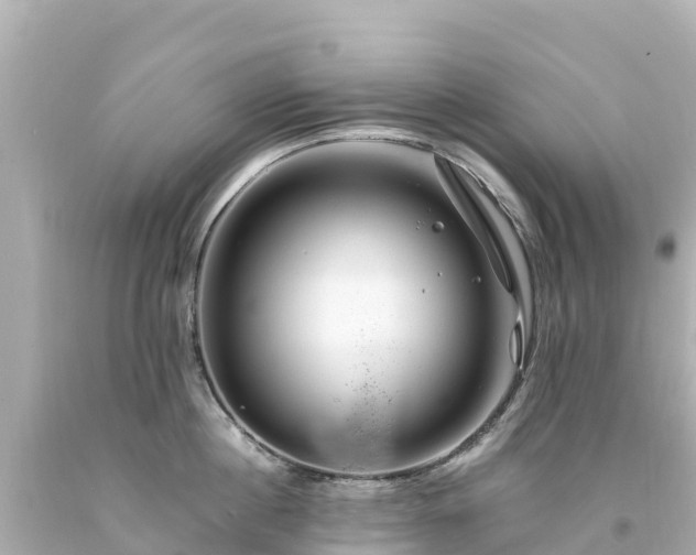X0000094200860200711021050