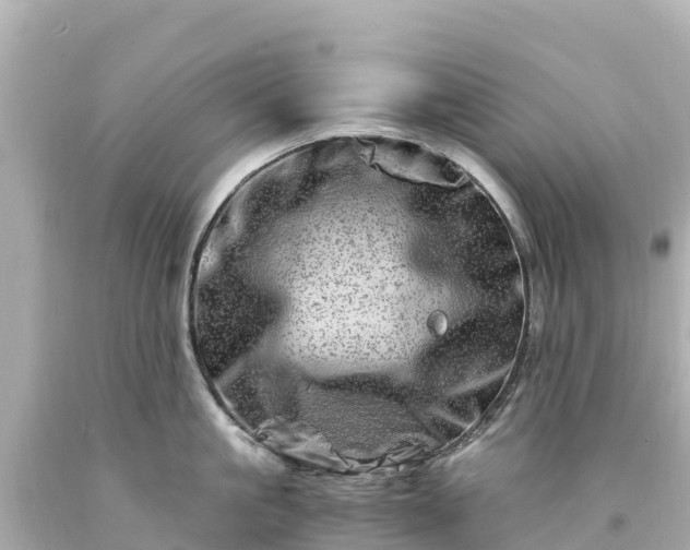 X0000094200861200711021050