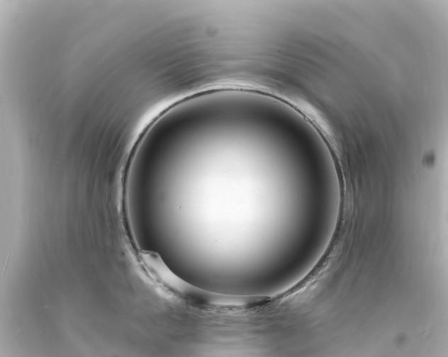 X0000094200862200711021050