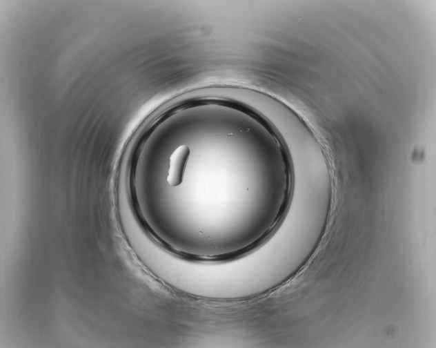 X0000094200864200711021050