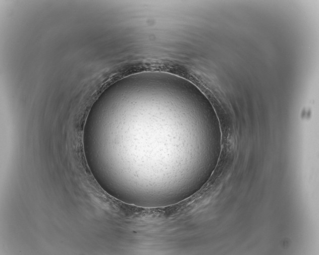 X0000094200865200711021049