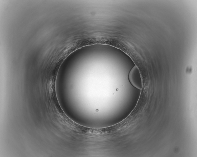 X0000094200866200711021049