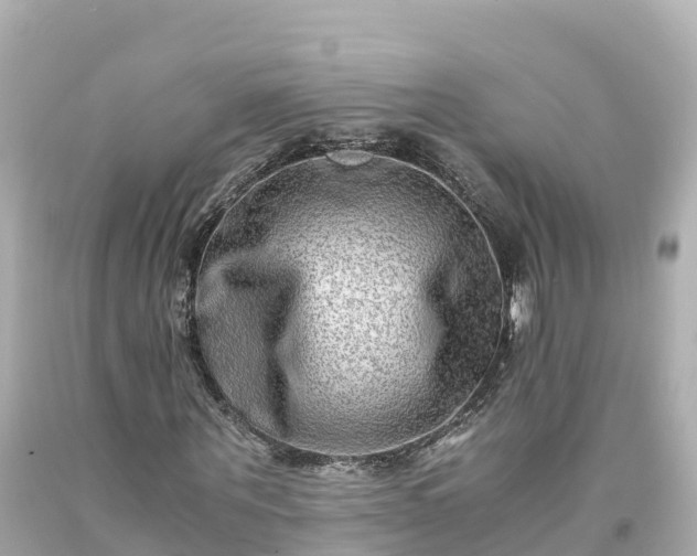 X0000094200867200711021049