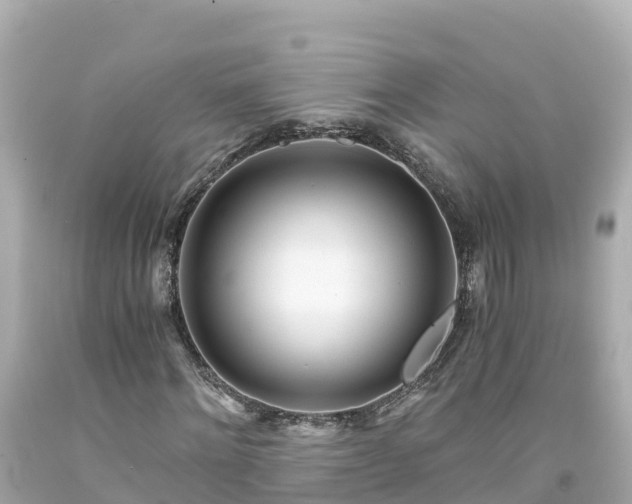 X0000094200868200711021049