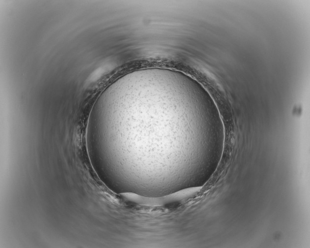 X0000094200869200711021049