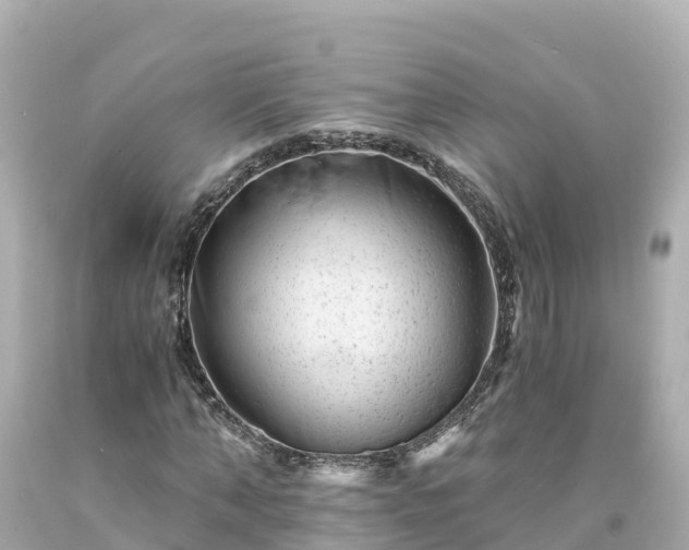 X0000094200870200711021049