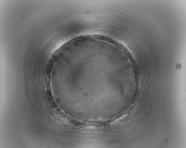 X0000094200871200711021049