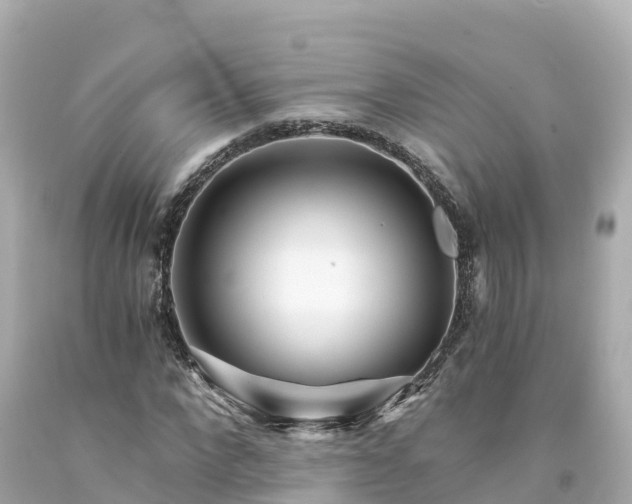 X0000094200872200711021049