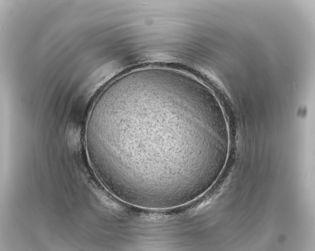 X0000094200873200711021049