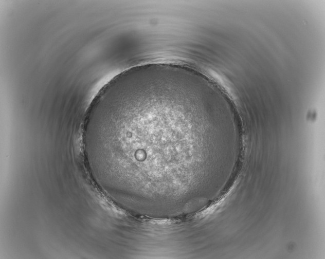 X0000094200875200711021049