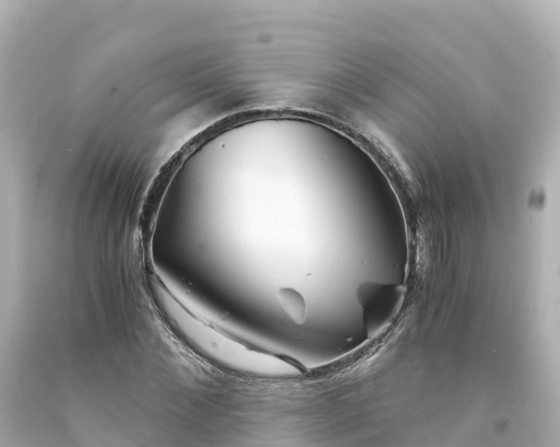 X0000094200876200711021049