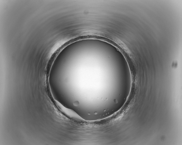 X0000094200877200711021049