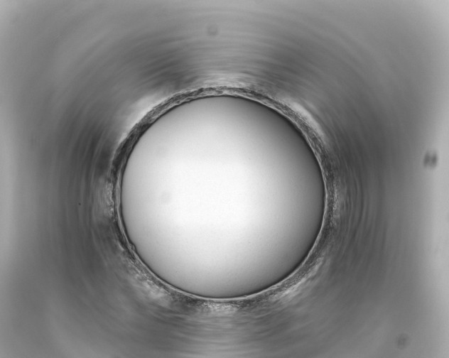 X0000094200878200711021049