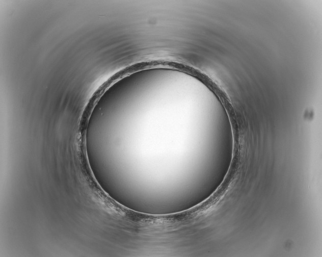 X0000094200879200711021049