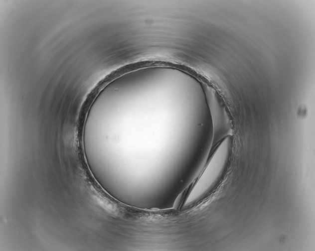 X0000094200880200711021049