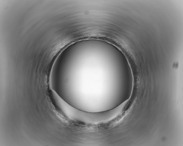 X0000094200881200711021049