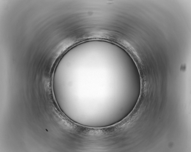 X0000094200882200711021049