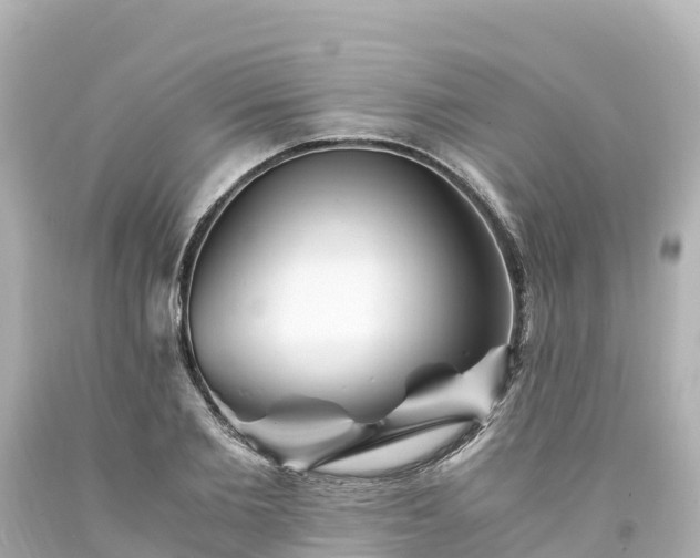 X0000094200885200711021049