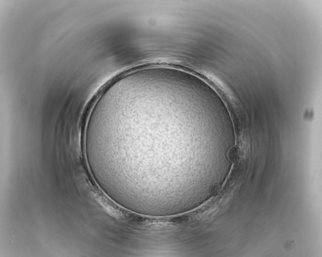 X0000094200886200711021049
