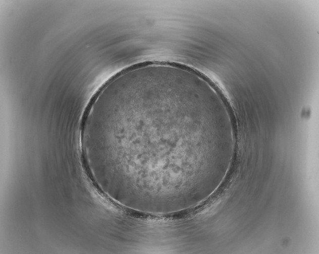 X0000094200887200711021049