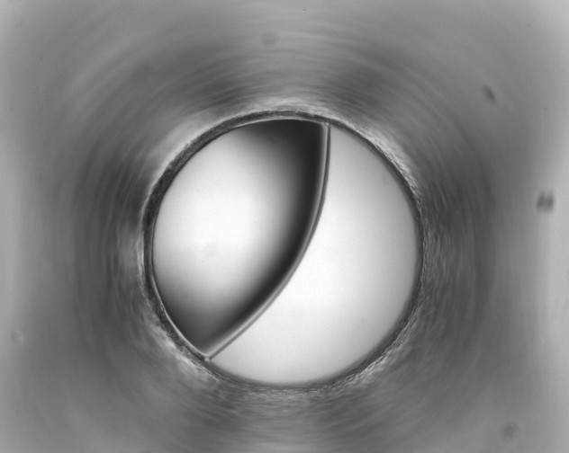 X0000094200888200711021049