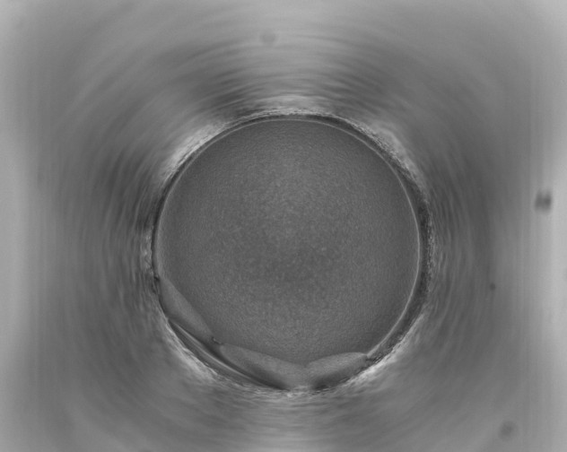 X0000094200889200711021049