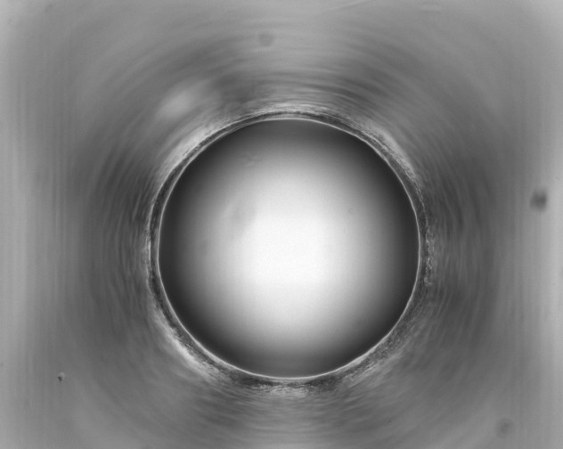 X0000094200890200711021049