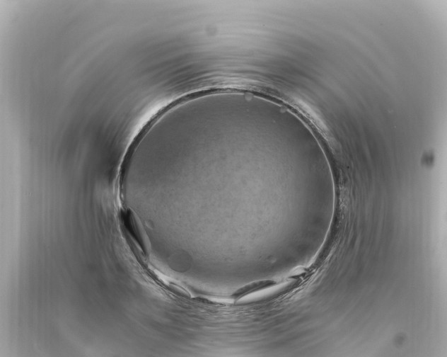X0000094200891200711021049