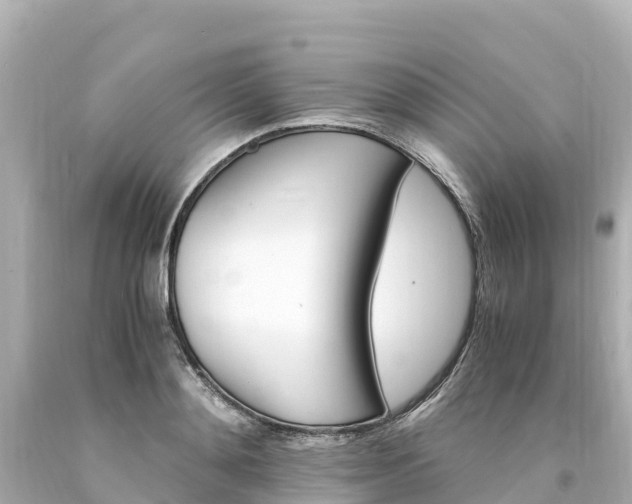 X0000094200892200711021049