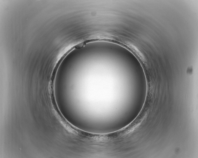 X0000094200893200711021049